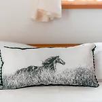 Siuster Comfort - Komfortowa Z Doskonałą Lokalizacją, Niedaleko Term Bukovina I Stoku Narciarskiego - Idealna Dla Rodzin 3* Bukowina Tatrzańska