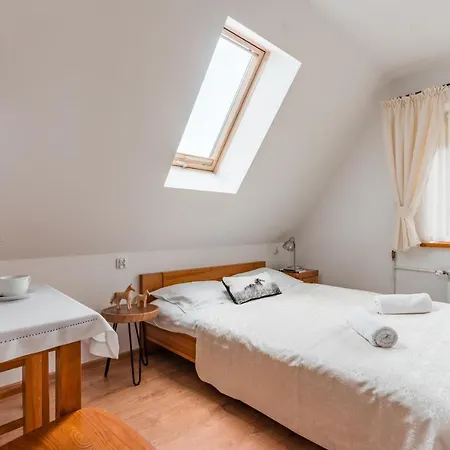 住宿加早餐酒店 Siuster Comfort - Komfortowa Z Doskonala Lokalizacja, Niedaleko Term Bukovina 3*