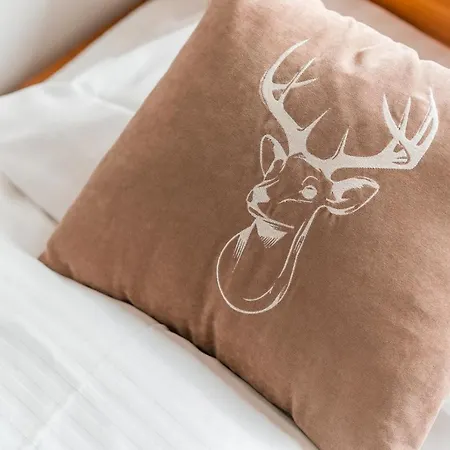 Siuster Comfort - Komfortowa Z Doskonala Lokalizacja, Niedaleko Term Bukovina I Stoku Narciarskiego - Idealna Dla Rodzin Bed & Breakfast