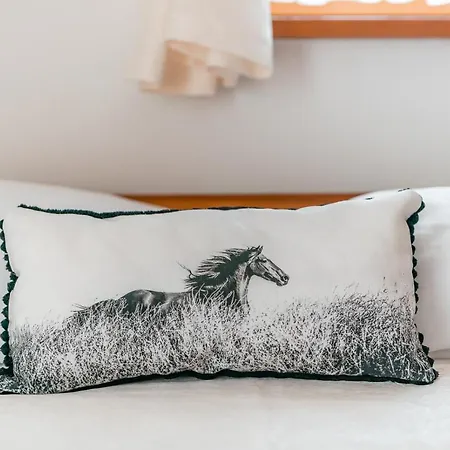 Siuster Comfort - Komfortowa Z Doskonala Lokalizacja, Niedaleko Term Bukovina I Stoku Narciarskiego - Idealna Dla Rodzin * Bukowina Tatrzańska