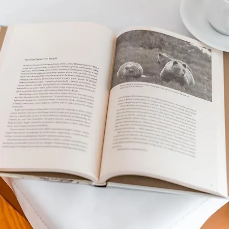Siuster Comfort - Komfortowa Z Doskonala Lokalizacja, Niedaleko Term Bukovina I Stoku Narciarskiego - Idealna Dla Rodzin Bed & Breakfast