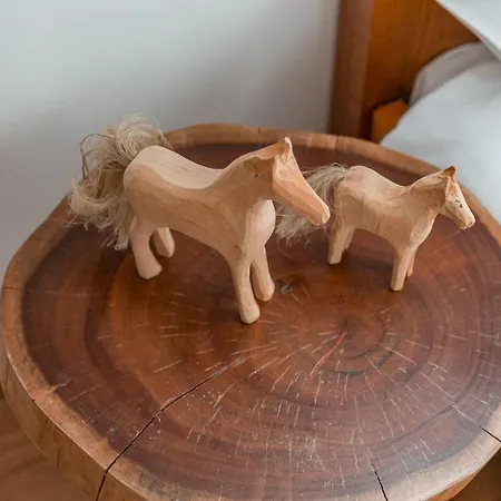 Bed & Breakfast Siuster Comfort - Komfortowa Z Doskonala Lokalizacja, Niedaleko Term Bukovina I Stoku Narciarskiego - Idealna Dla Rodzin Bukowina Tatrzanska